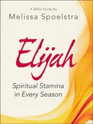 Elijah by Melissa Spoelstra